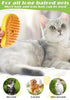 3in1 Pet Steam Brush - Givemethisnow