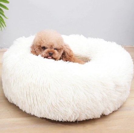 Calming pet bed - Givemethisnow