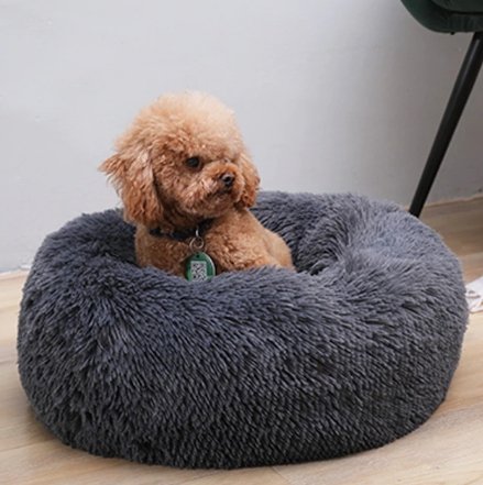 Calming pet bed - Givemethisnow