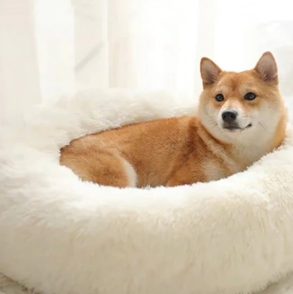 Calming pet bed - Givemethisnow