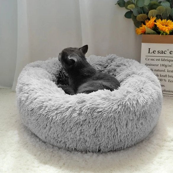 Calming pet bed - Givemethisnow