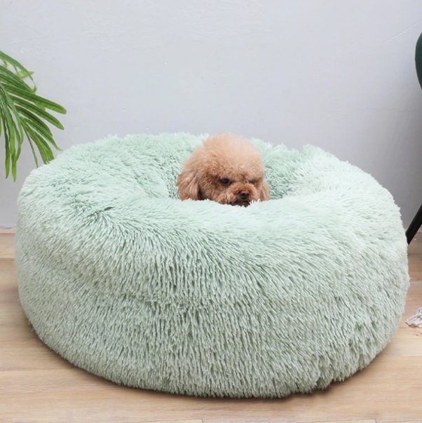 Calming pet bed - Givemethisnow