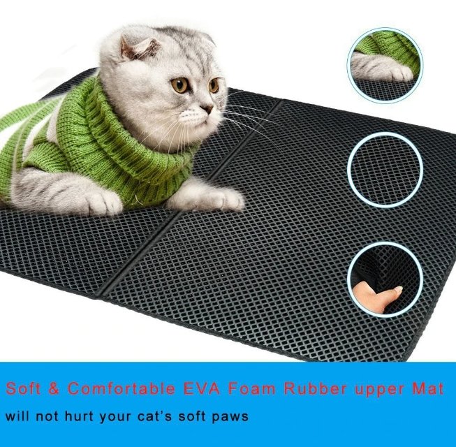 Cat Litter Mat - Givemethisnow