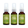 GFOUK™️ BreathDetox Herbal Lung Cleansing Spray - Givemethisnow