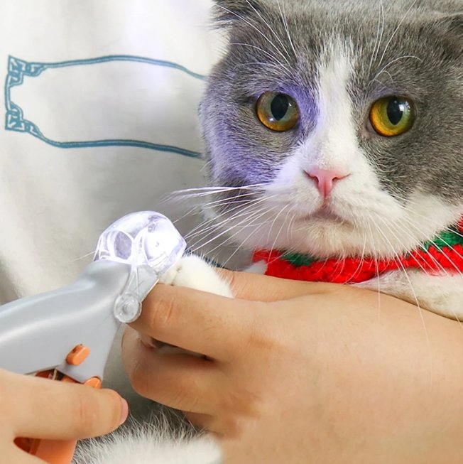 Led Light Pet Nail Clipper - Givemethisnow