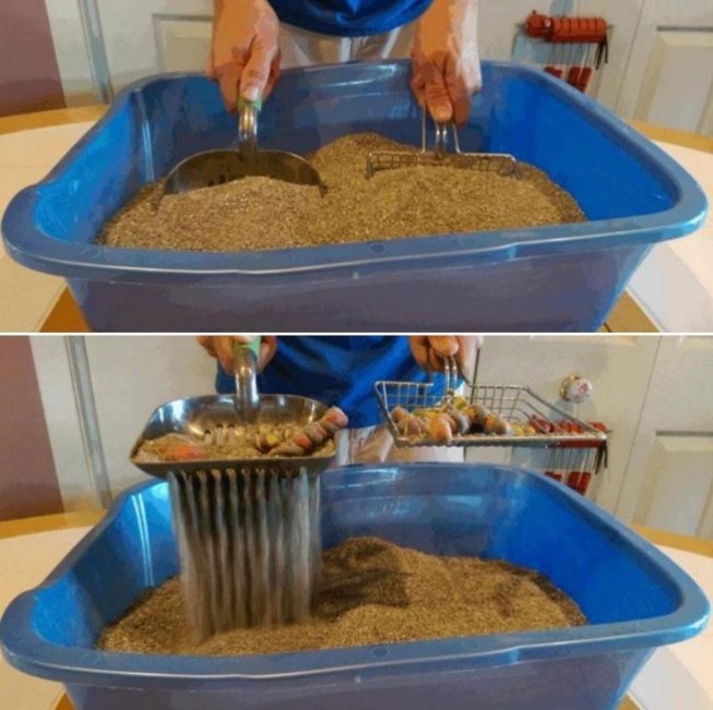 Pet Cat Toilet Scooper - Givemethisnow