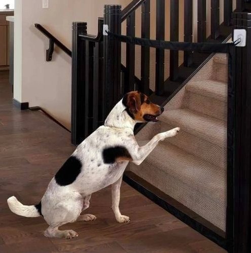 Portable Kids & Pets Safety Door Guard - Givemethisnow