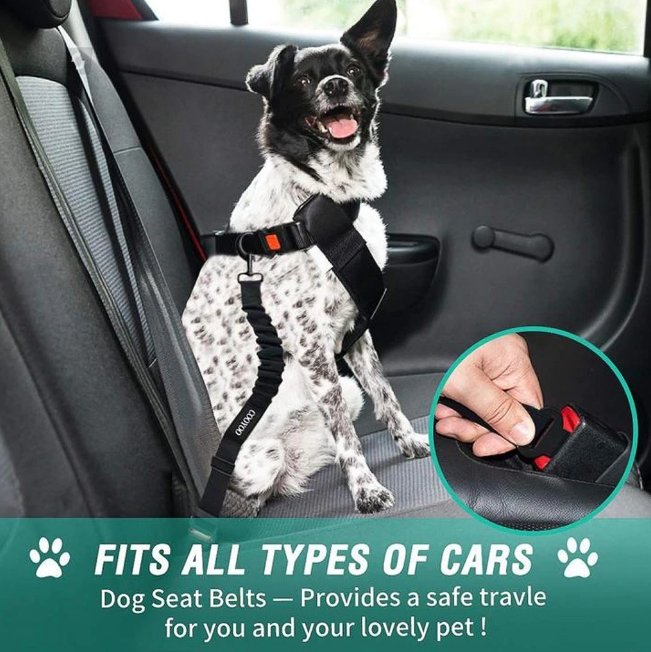 Rated Pet Safety Belt - Givemethisnow