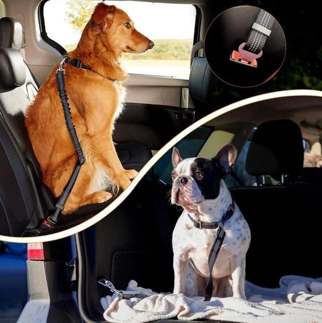 Rated Pet Safety Belt - Givemethisnow