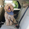 Rated Pet Safety Belt - Givemethisnow