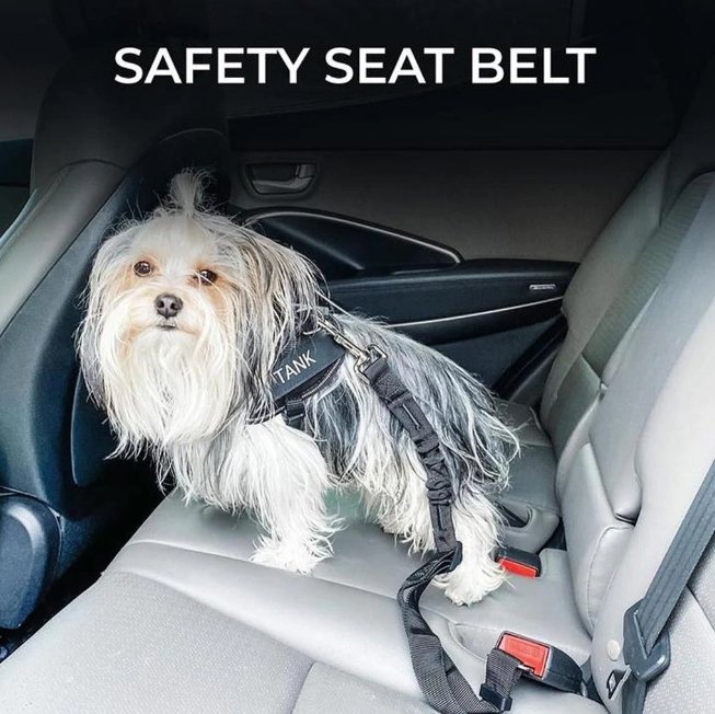 Rated Pet Safety Belt - Givemethisnow