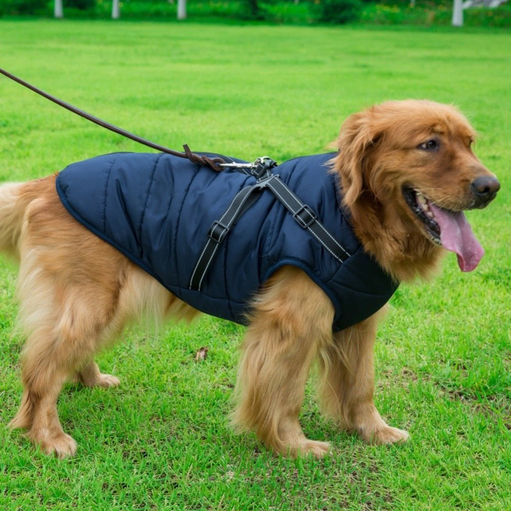 Waterproof Winter Jacket with Built-in Harness - Givemethisnow